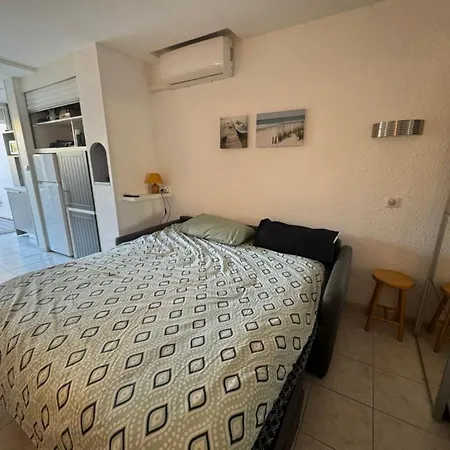 Apartment Grand Renove Avec Terrasse Et Clim ! *