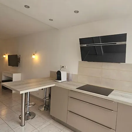 Grand Renove Avec Terrasse Et Clim ! *