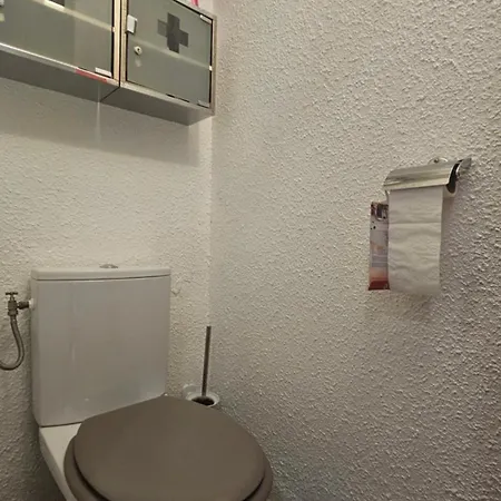 Grand Renove Avec Terrasse Et Clim ! Appartement